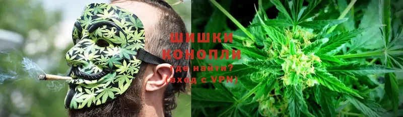 Канабис OG Kush  Бобров 